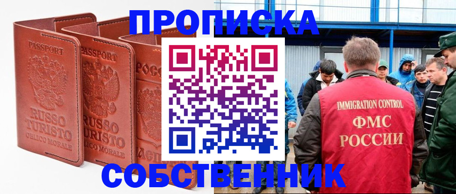 прописка поиск в Кингисеппе